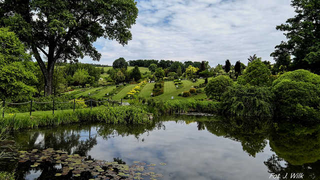 Majowe Arboretum w Wojsławicach