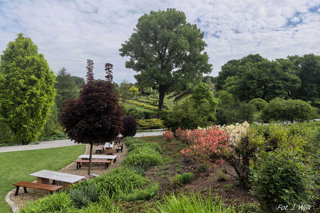 Majowe Arboretum w Wojsławicach