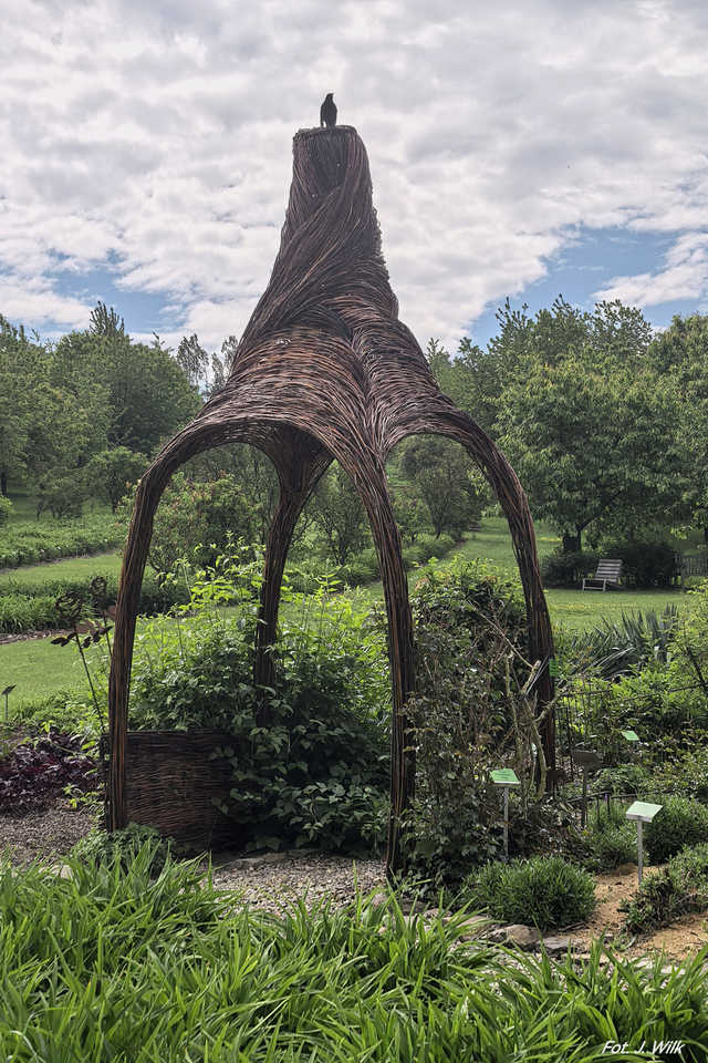 Majowe Arboretum w Wojsławicach