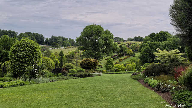 Majowe Arboretum w Wojsławicach