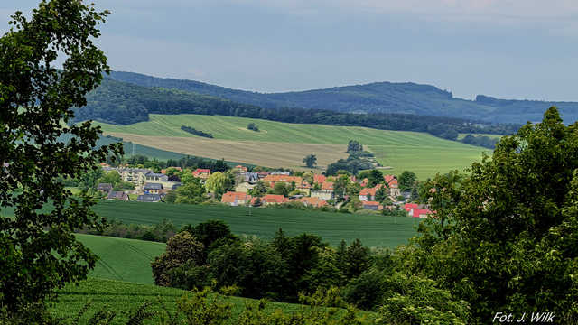 Majowe Arboretum w Wojsławicach