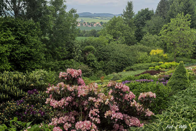 Majowe Arboretum w Wojsławicach
