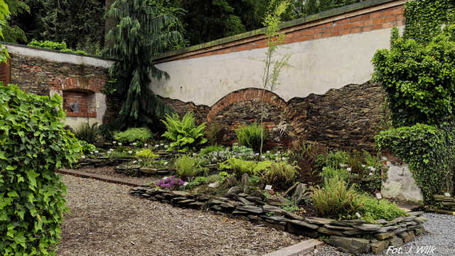 Majowe Arboretum w Wojsławicach