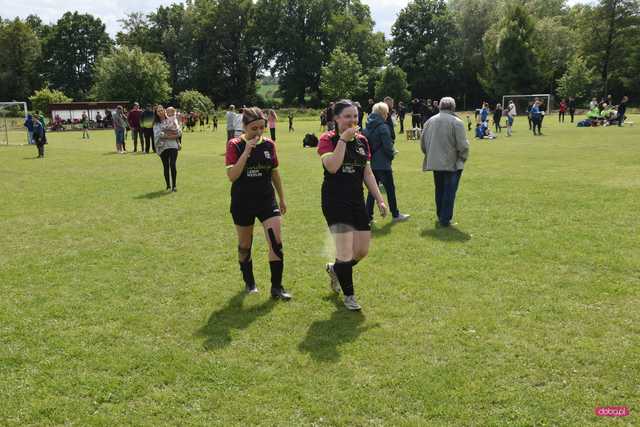 Piknik w Słupicach