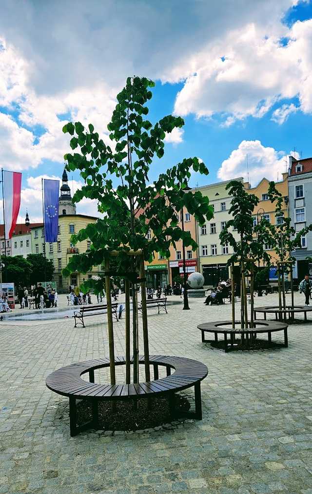 Przebudowa dzierżoniowskiego rynku zakończona