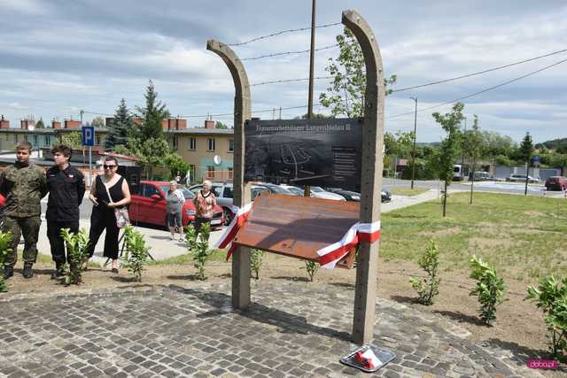 Odsłonięcie pomnika