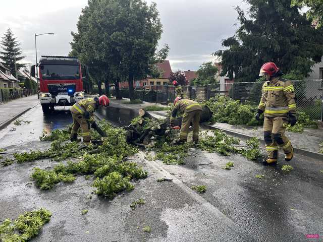 Powalone drzewo blokowało ul. Staszica w Dzierżoniowie