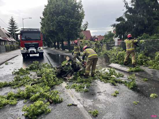 Powalone drzewo blokowało ul. Staszica w Dzierżoniowie