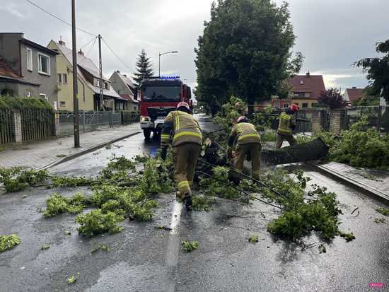 Powalone drzewo blokowało ul. Staszica w Dzierżoniowie