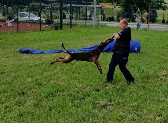 Policjanci wśród mieszkańców – dzielnicowi na piknikach rodzinnych w Pieszycach i Dzierżoniowie