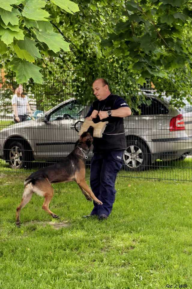 Dzień Bezpieczeństwa na Alei Bajkowych Gwiazd