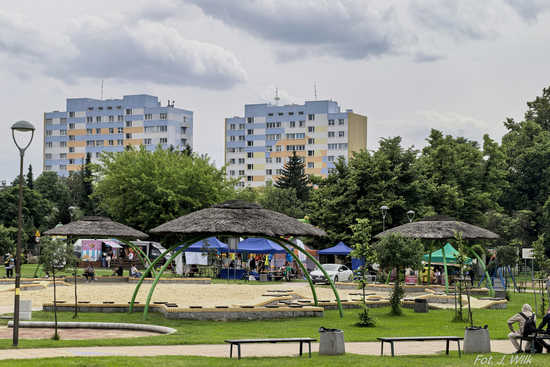 Dzień Bezpieczeństwa na Alei Bajkowych Gwiazd