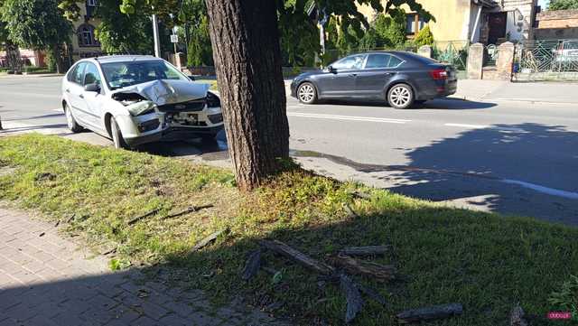 Fordem uderzył w drzewo