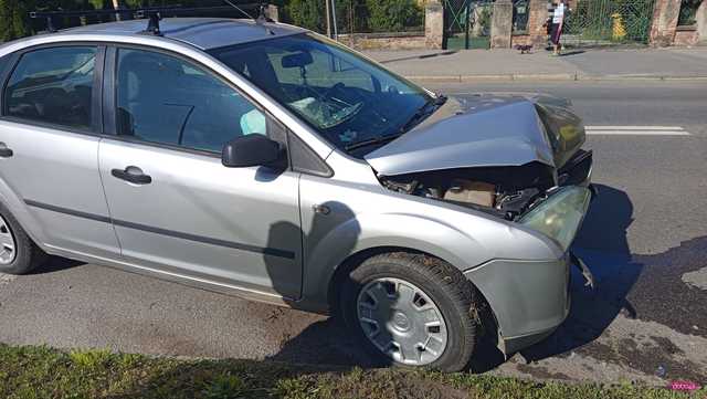 Fordem uderzył w drzewo