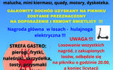 IV Piknik Strażacki w Piławie Górnej