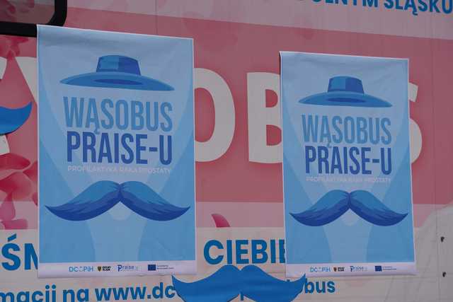 Wąsobus