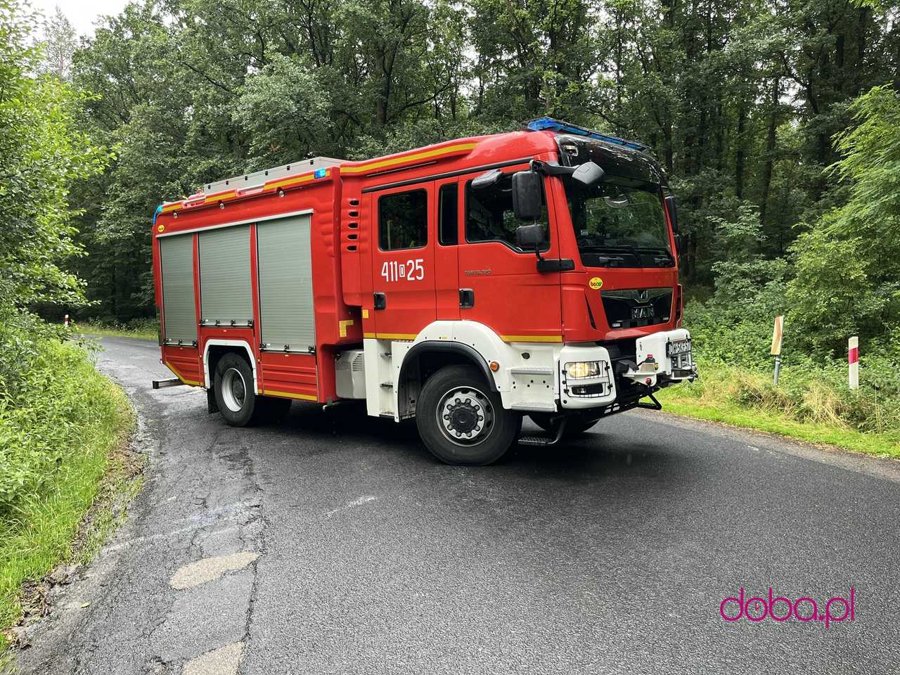 Wypadek na drodze Gilów - Niemcza