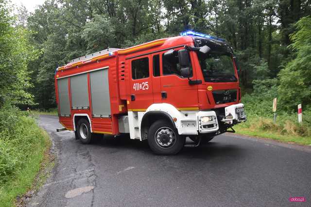 Wypadek na drodze Gilów - Niemcza