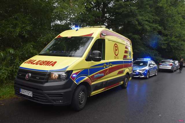 Wypadek na drodze Gilów - Niemcza