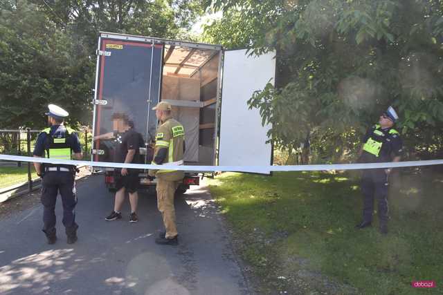 Słup przewrócił się na samochód dostawczy