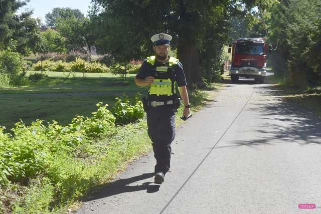 Słup przewrócił się na samochód dostawczy