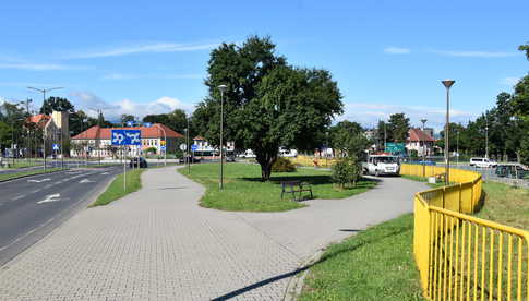 Dzierżoniów. Jubileuszowy konkurs „Piękno Kwiatów i Zieleni Wokół Nas”
