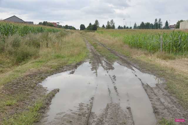 Ul. Szkolna w Piławie Dolnej