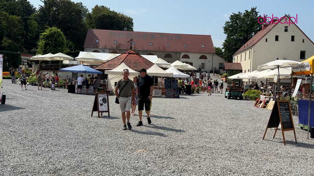 Wspaniała kolekcja hortensji zakwitła w Arboretum w Wojsławicach