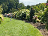 Wspaniała kolekcja hortensji zakwitła w Arboretum w Wojsławicach