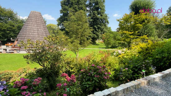 Wspaniała kolekcja hortensji zakwitła w Arboretum w Wojsławicach