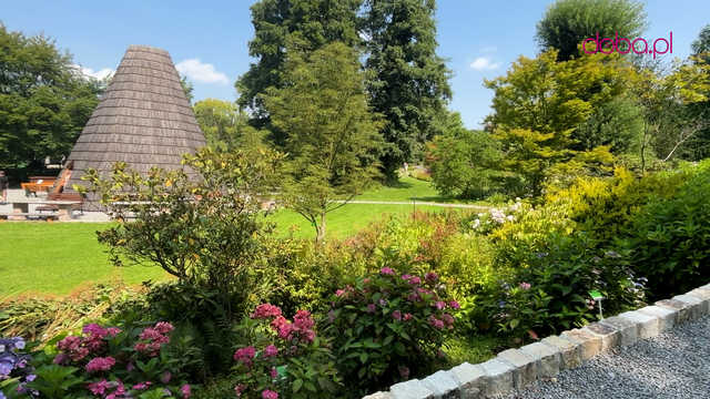 Wspaniała kolekcja hortensji zakwitła w Arboretum w Wojsławicach