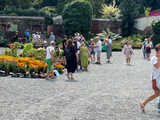 Wspaniała kolekcja hortensji zakwitła w Arboretum w Wojsławicach