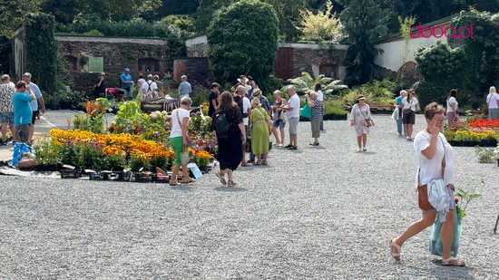 Wspaniała kolekcja hortensji zakwitła w Arboretum w Wojsławicach