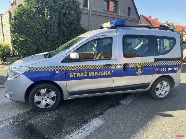 Pożar samochodu na Waryńskiego w Bielawie 
