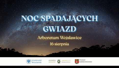 Przed nami Noc Spadających Gwiazd