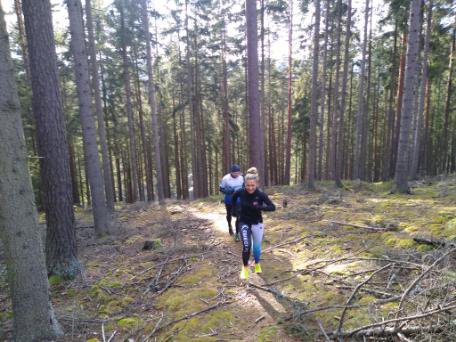 28. finał WOŚP w Polanicy-Zdroju 