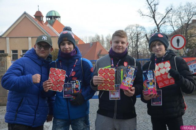 Alpaki dla WOŚP w Kłodzku 