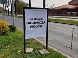 Pierwszy mobilny punkt pobrań rozpoczął pracę dzisiaj rano w Wołowie.