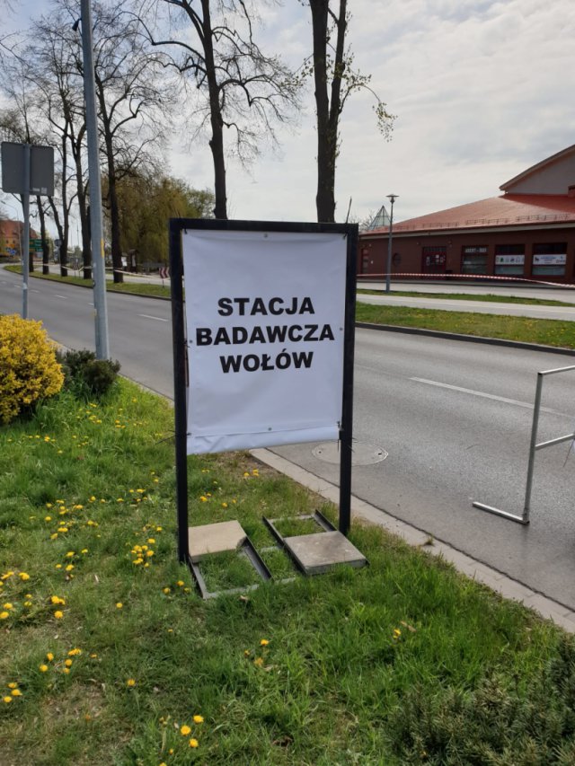 Pierwszy mobilny punkt pobrań rozpoczął pracę dzisiaj rano w Wołowie.