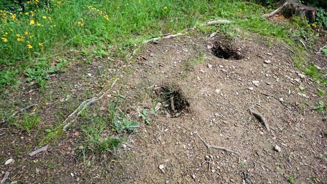 Zlokalizowana na Górze Parkowej w Kudowie-Zdroju „Altanka Miłości” została zdemolowana przez wandali.