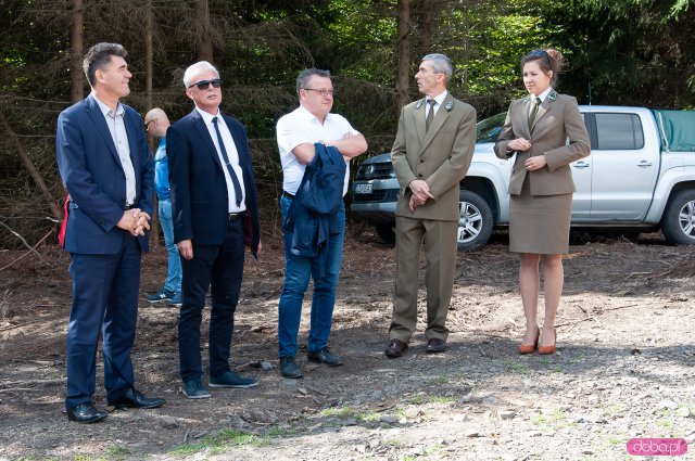 wieża na Kłodzkiej Górze