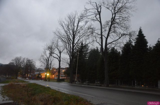 Pandemia przerwała tradycję odwiedzania grobów jednak w wielu miastach mieszkańcy postanowili zapalić symboliczne znicze i postawić kwiaty pod bramami cmentarzy. 