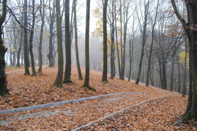 Trwa rewitalizacja Góry Parkowej w Bystrzycy Kłodzkiej. 