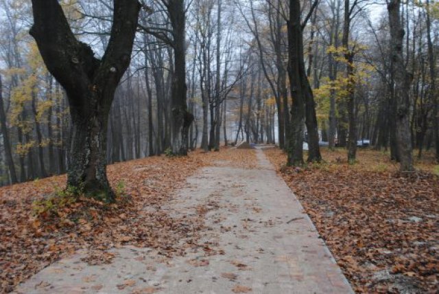 Trwa rewitalizacja Góry Parkowej w Bystrzycy Kłodzkiej. 