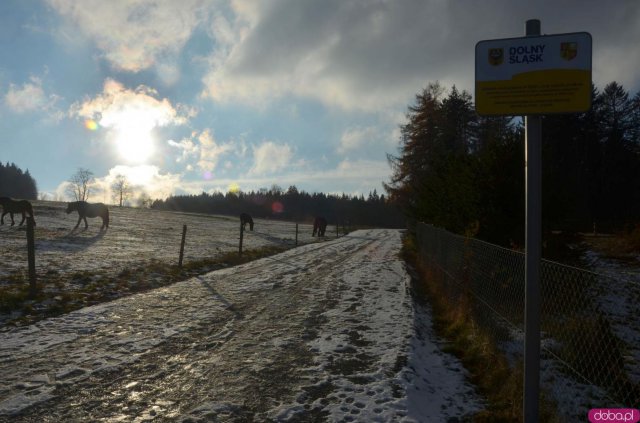 Obie inwestycje otrzymały dofinansowanie z Urzędu Marszałkowskiego Województwa Dolnośląskiego.