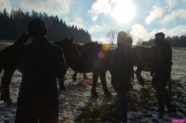 Obie inwestycje otrzymały dofinansowanie z Urzędu Marszałkowskiego Województwa Dolnośląskiego.