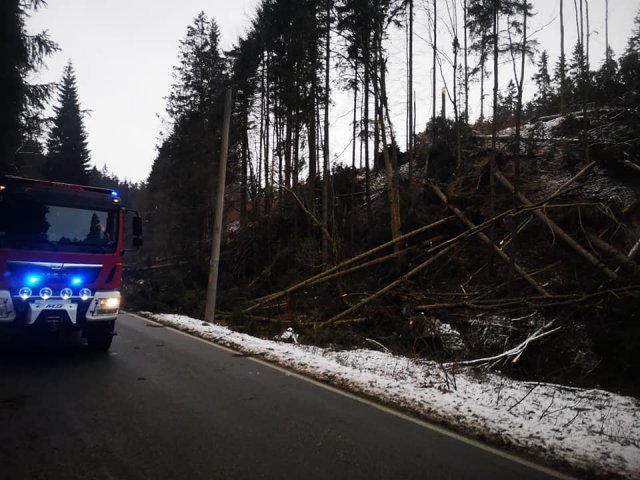 Większość z nich dotyczyła powalonych drzew, uszkodzonych linii energetycznych i poderwanych dachów.