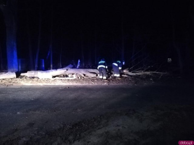 Większość z nich dotyczyła powalonych drzew, uszkodzonych linii energetycznych i poderwanych dachów.