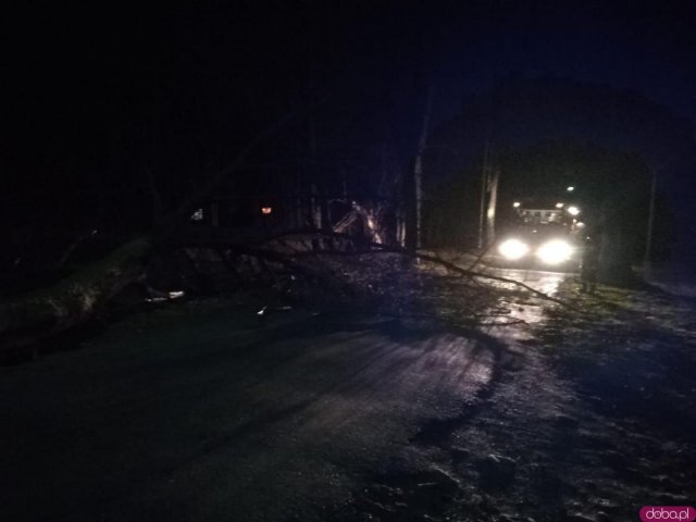 Większość z nich dotyczyła powalonych drzew, uszkodzonych linii energetycznych i poderwanych dachów.