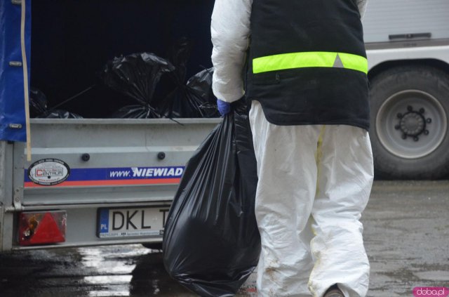 Decyzją Powiatowego Lekarza Weterynarii, w poniedziałek, 4 stycznia w Starym Wielisławiu i Szalejowie Dolnym rozpoczęto eutanazję drobiu.